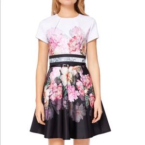 Ted Baker Valerey Painted Posie Skater Dress